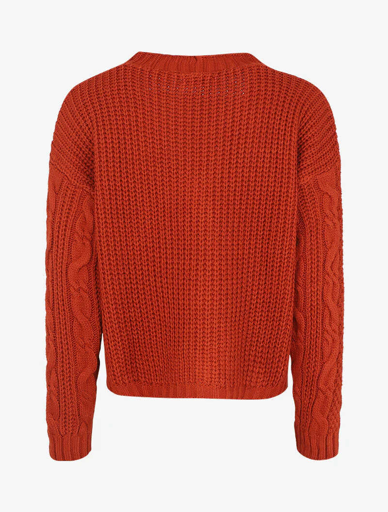 Gebreid vest met gestileerde knopen - Roest - Image 2