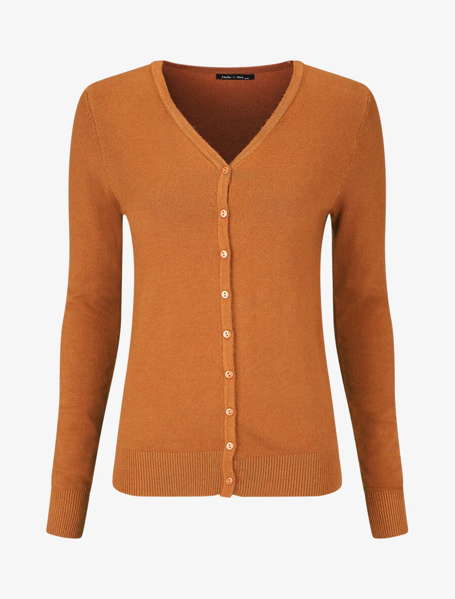 Klassiek vest met V-hals - Kameel