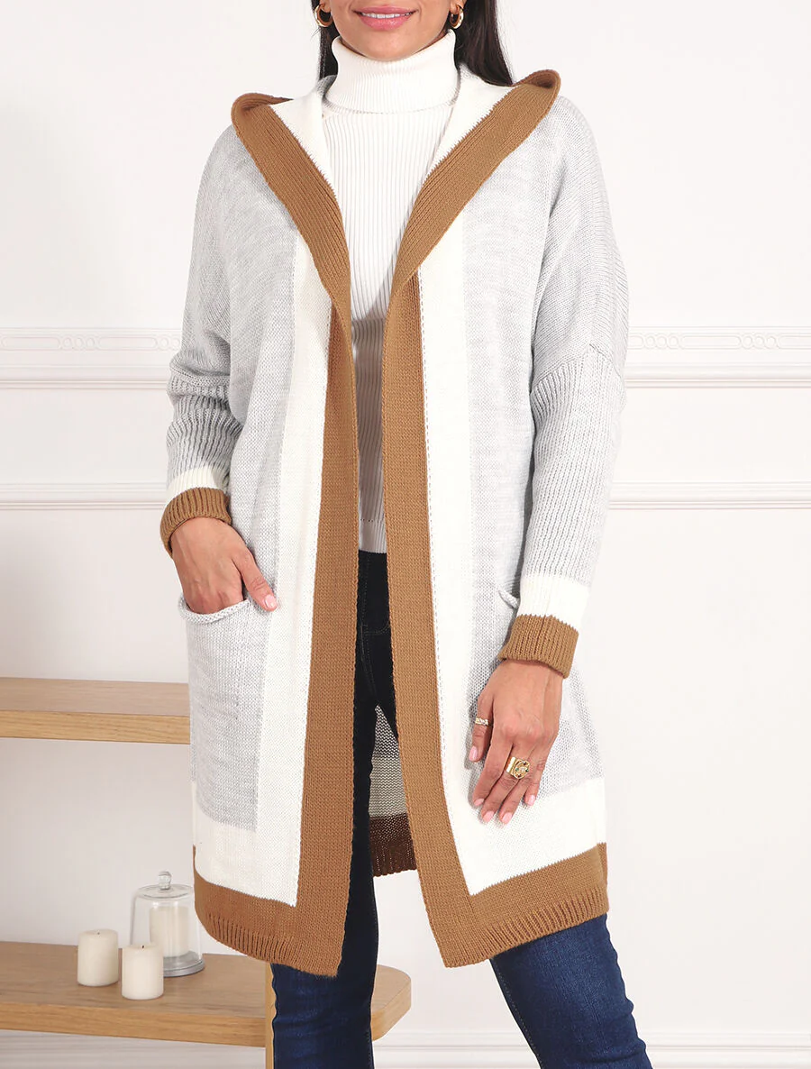 Lang gestreept vest met capuchon - Lichtgrijs - Image 4