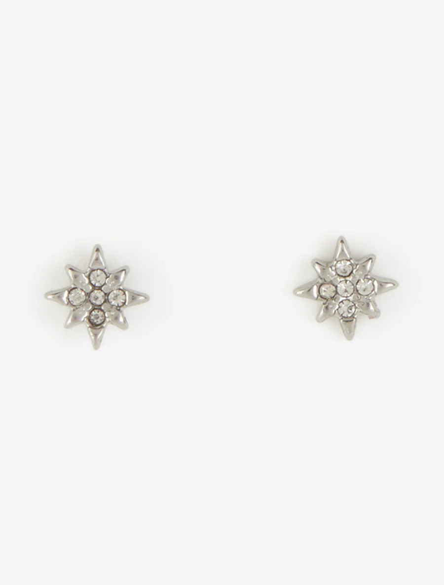 Oorstekers met strass-sterrenmotief - Geld - Image 2