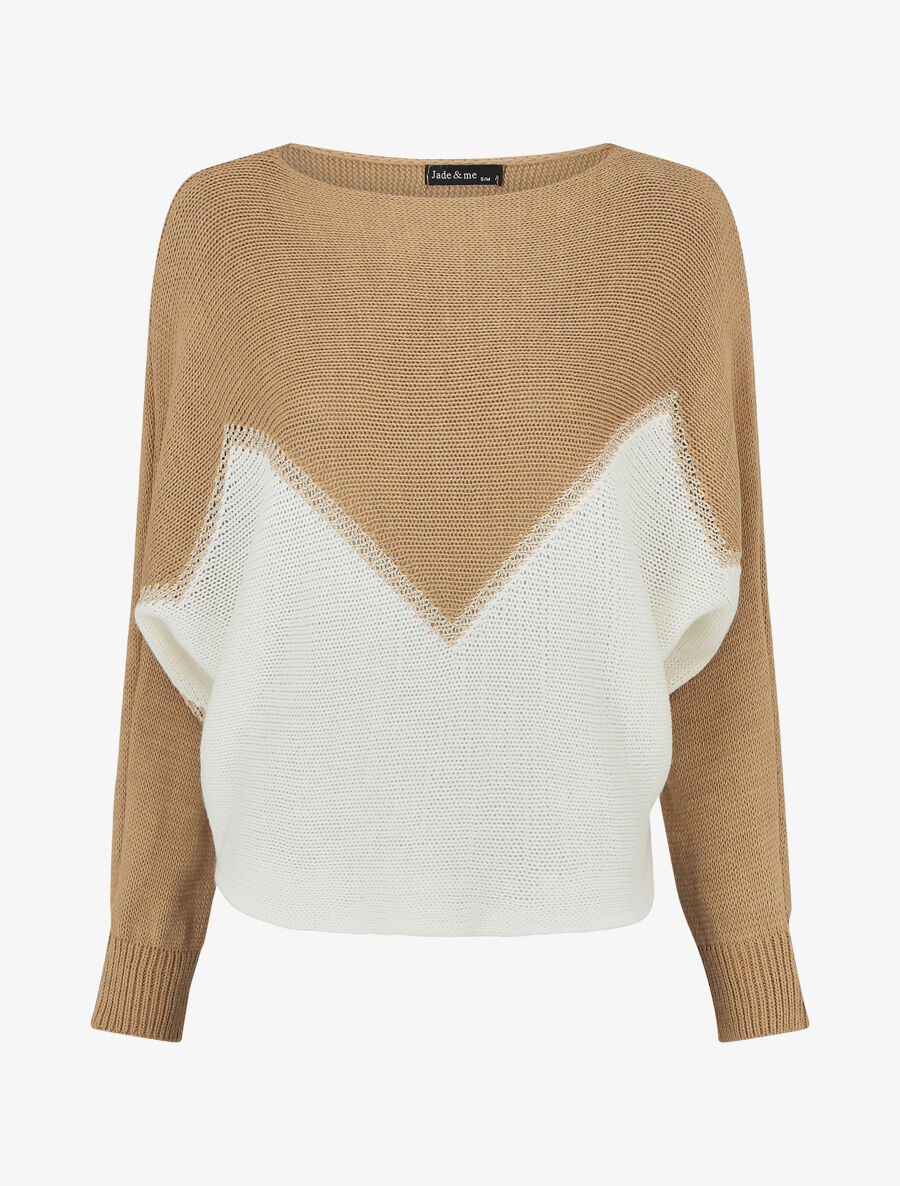 Tweekleurige trui met goudkleurige zigzagrand - Beige