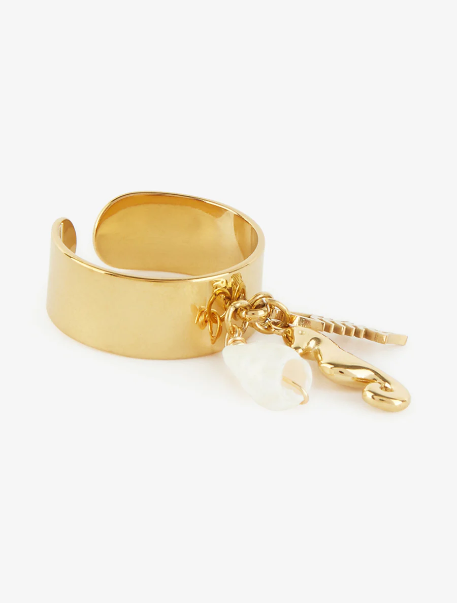 Zeepaardje bedelring - Goud - Image 2
